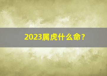 2023属虎什么命？