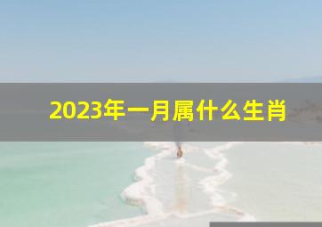 2023年一月属什么生肖,2023年1月1日属什么生肖