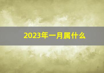 2023年一月属什么