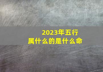 2023年五行属什么的是什么命,2023属于什么命年