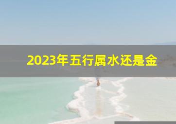 2023年五行属水还是金,<body>