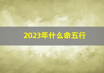 2023年什么命五行,2023年属什么命五行属什么