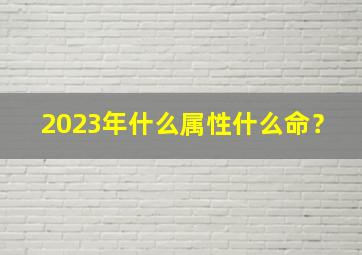 2023年什么属性什么命？