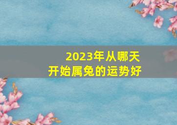 2023年从哪天开始属兔的运势好,属兔2023年运程及运势详解2023兔年属兔人本命年每月运势