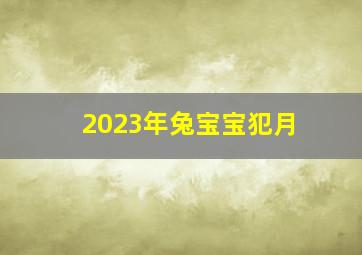 2023年兔宝宝犯月,2023年生娃避开几月农历