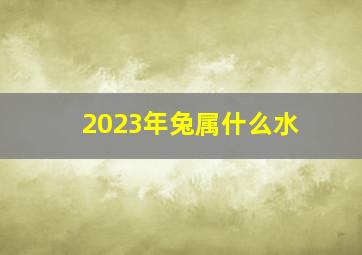 2023年兔属什么水,2023年属兔是什么命（2023年属兔是什么命金木水火土）