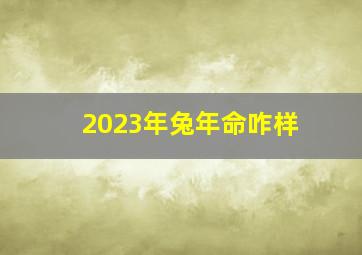 2023年兔年命咋样,2023年本命年属兔运气怎么样兔本命年的大忌