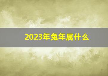 2023年兔年属什么,2023年是啥生肖年