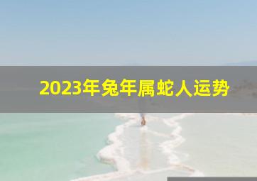 2023年兔年属蛇人运势,2023年兔年最吉利的四大属相