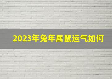 2023年兔年属鼠运气如何,72年属鼠女命2023年财运怎么样51岁兔年事业运