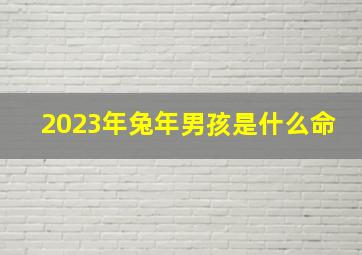 2023年兔年男孩是什么命,2023年春分生兔宝宝好不好2023年春分出生的男孩命运