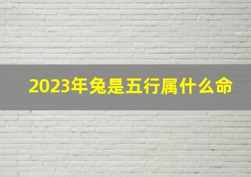 2023年兔是五行属什么命,2023年五行属兔是什么水兔的命运是红色的吗