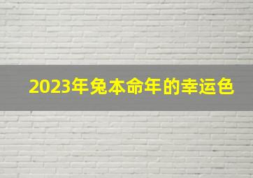 2023年兔本命年的幸运色,2023年兔年本命年应该穿红色吗属兔者本命年不宜穿红