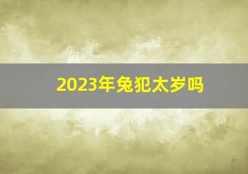 2023年兔犯太岁吗,2023犯太岁的生肖有哪几个