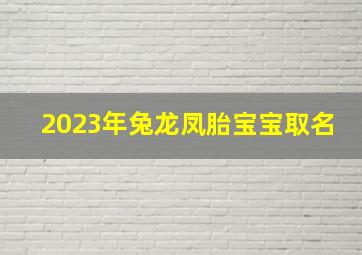 2023年兔龙凤胎宝宝取名,2023年属兔宝宝取名字温润如玉冰清玉洁的宝宝名字