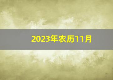 2023年农历11月,2023年农历十一月属猪人婚庆嫁娶吉日表哪几天结婚最吉利