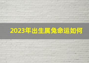 2023年出生属兔命运如何,2023年属兔的是什么命