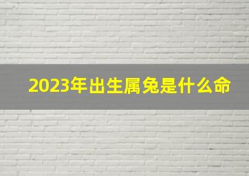 2023年出生属兔是什么命,2023年属兔的是什么命2023年出生的属兔人命运