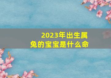 2023年出生属兔的宝宝是什么命,2023年属兔的是什么命五行