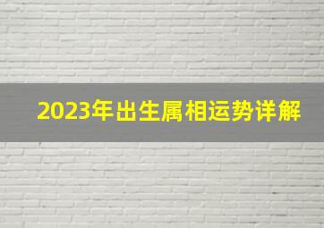 2023年出生属相运势详解,2023年属兔命运2023年出生的人是什么命