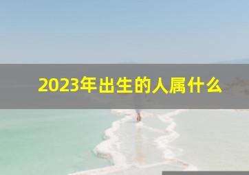 2023年出生的人属什么,2023年属什么的