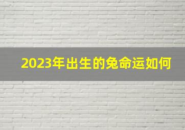 2023年出生的兔命运如何,2023年属兔最好命兔年出生的宝宝命运分析