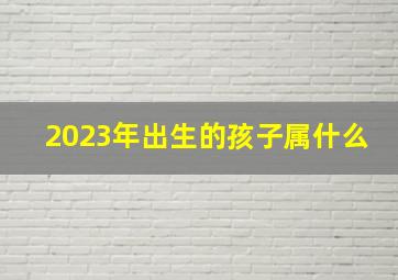 2023年出生的孩子属什么,2023年过年出生的人属什么2023年过年出生的命运如何