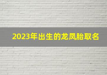 2023年出生的龙凤胎取名,2023年出生双胞胎起名字