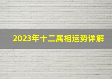 2023年十二属相运势详解,生肖鼠2023年运势详解