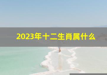 2023年十二生肖属什么,2023是什么生肖