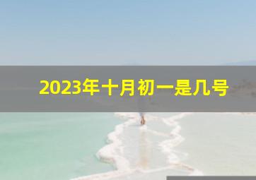 2023年十月初一是几号,11月13号阴历是哪一天