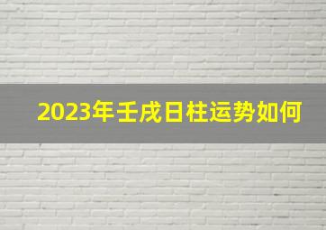 2023年壬戌日柱运势如何,大师详解：属鼠2023年全年运势运程及每月运程