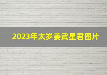 2023年太岁姜武星君图片,2020年太岁是谁值日太岁星君名字是啥