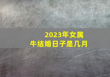 2023年女属牛结婚日子是几月,属牛的2023年结婚好不好属牛的2023年几月结婚好