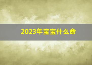 2023年宝宝什么命,2023年是什么命