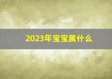 2023年宝宝属什么,2023年2月出生的宝宝属什么五行属什么