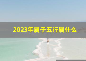 2023年属于五行属什么,2023年出生五行属什么孩子有着什么样的命运