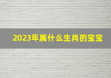 2023年属什么生肖的宝宝,2023年出生属什么生肖是温柔且善良的兔子