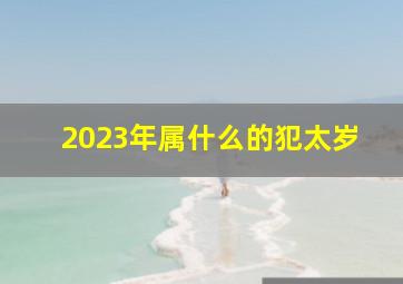 2023年属什么的犯太岁,2023年犯太岁的属相