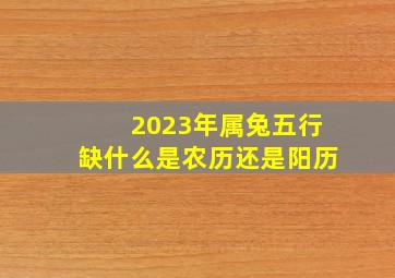 2023年属兔五行缺什么是农历还是阳历,2023年五行属什么生活中缺少了什么兔子柔软而温顺