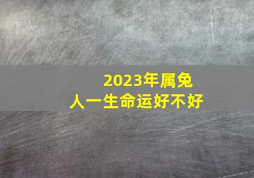 2023年属兔人一生命运好不好,2023年属兔的是什么命2023年出生的属兔人命运