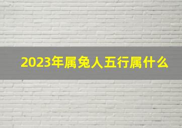 2023年属兔人五行属什么,2023年的兔子是什么如何分析五行23年的出生命运