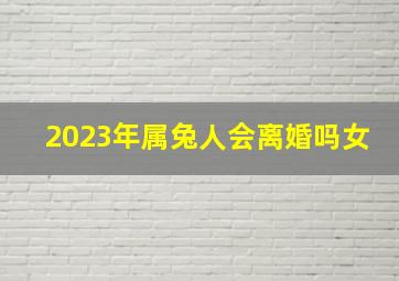 2023年属兔人会离婚吗女,2023年注定离婚的生肖