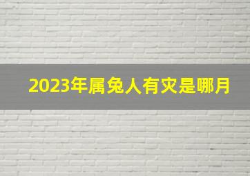 2023年属兔人有灾是哪月,2023年属兔几月命苦什么命运势如何