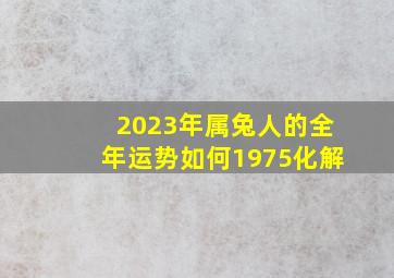 2023年属兔人的全年运势如何1975化解,2023属兔人全年运势女1975