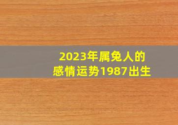 2023年属兔人的感情运势1987出生,1987年属兔男2023年本命年运势好不好