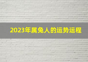 2023年属兔人的运势运程,属兔的人2023年运势如何