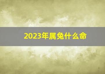 2023年属兔什么命,2023年是金命还是水命属兔的2023年什么命