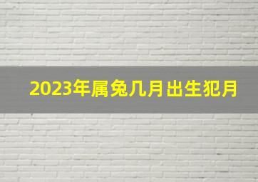 2023年属兔几月出生犯月,2023年属兔几月出生不好忌讳几月出生