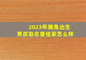 2023年属兔出生男孩取名雷佳豪怎么样,男孩起名2023属兔